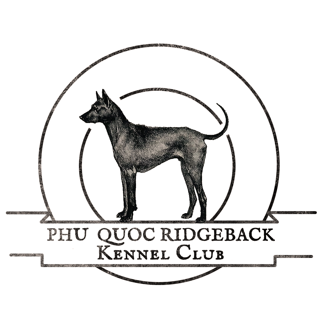 About the Kennel Club T-shirts! campaign on Bonfire 2