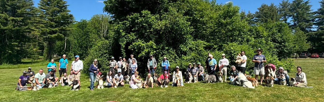 About the 2026 Maine Sheltie Rescue: All About the Dogs campaign on Bonfire 1