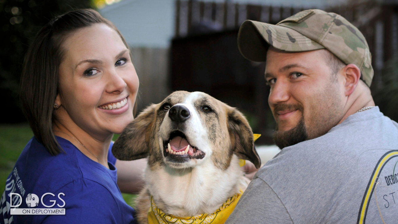 About the 2017 DoD Mascot, Tanzie campaign on Bonfire 1
