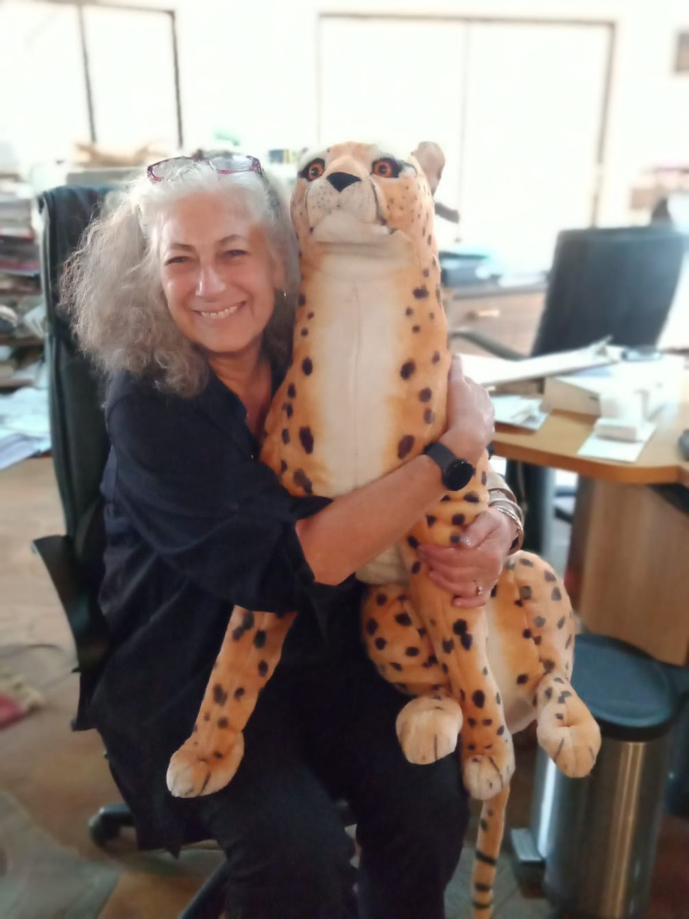 About the Hug Your Cat Day campaign on Bonfire 2