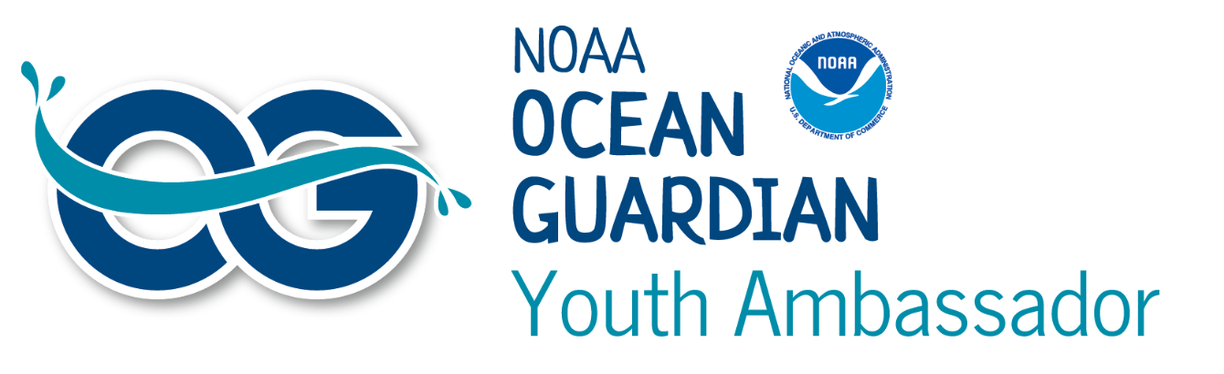 About the T-Shirts campaign on Bonfire 2