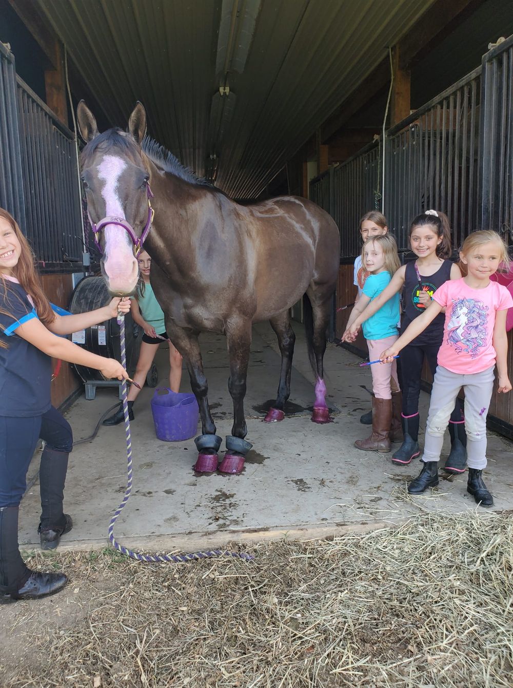 About the Starry Night Original&nbsp; campaign on Bonfire 2