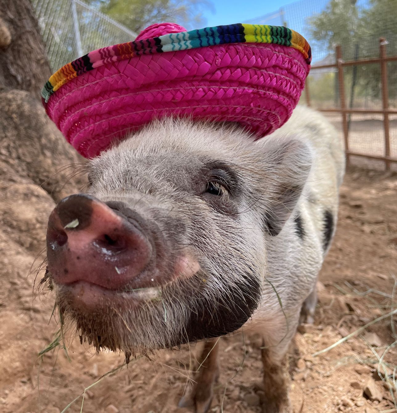About the Marguerita Ranch Apparel - 8 Styles Available campaign on Bonfire 5