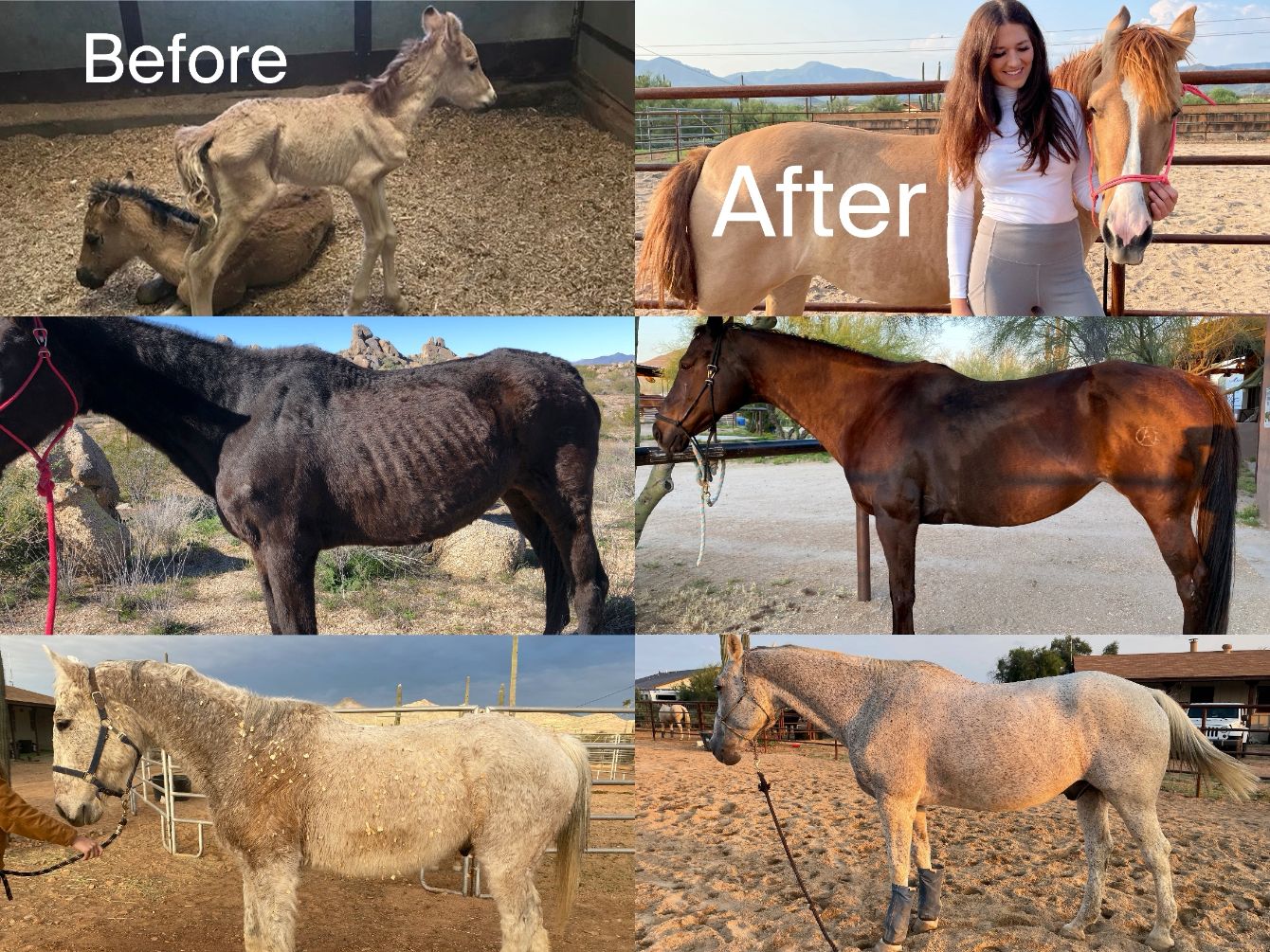 About the Marguerita Ranch Apparel - 8 Styles Available campaign on Bonfire 2