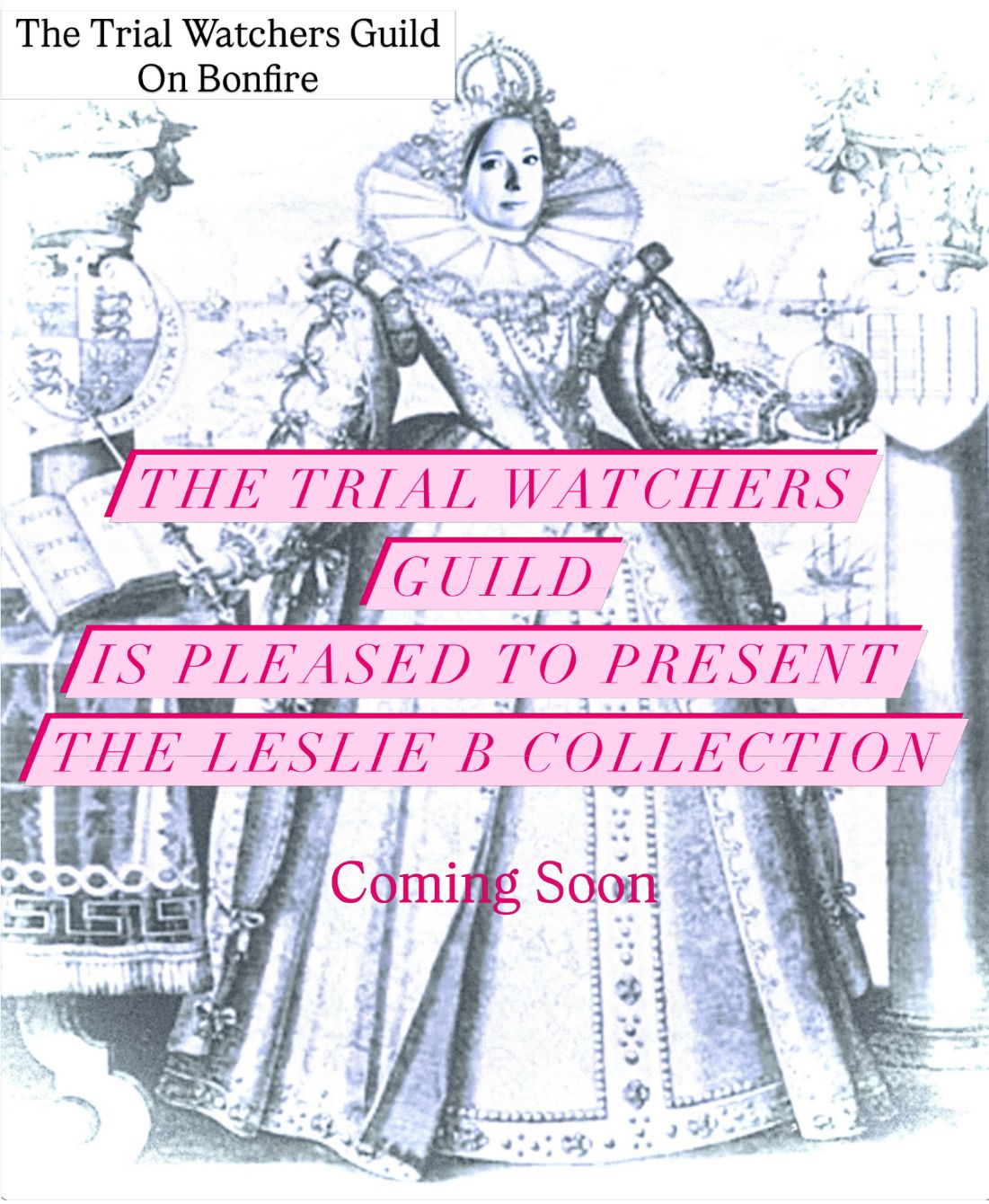 About the  campaign on Bonfire 0