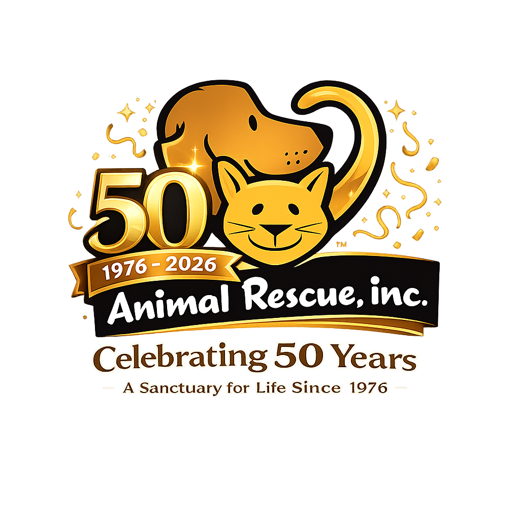 About the 50th Anniversary Mug Fundraiser campaign on Bonfire 2