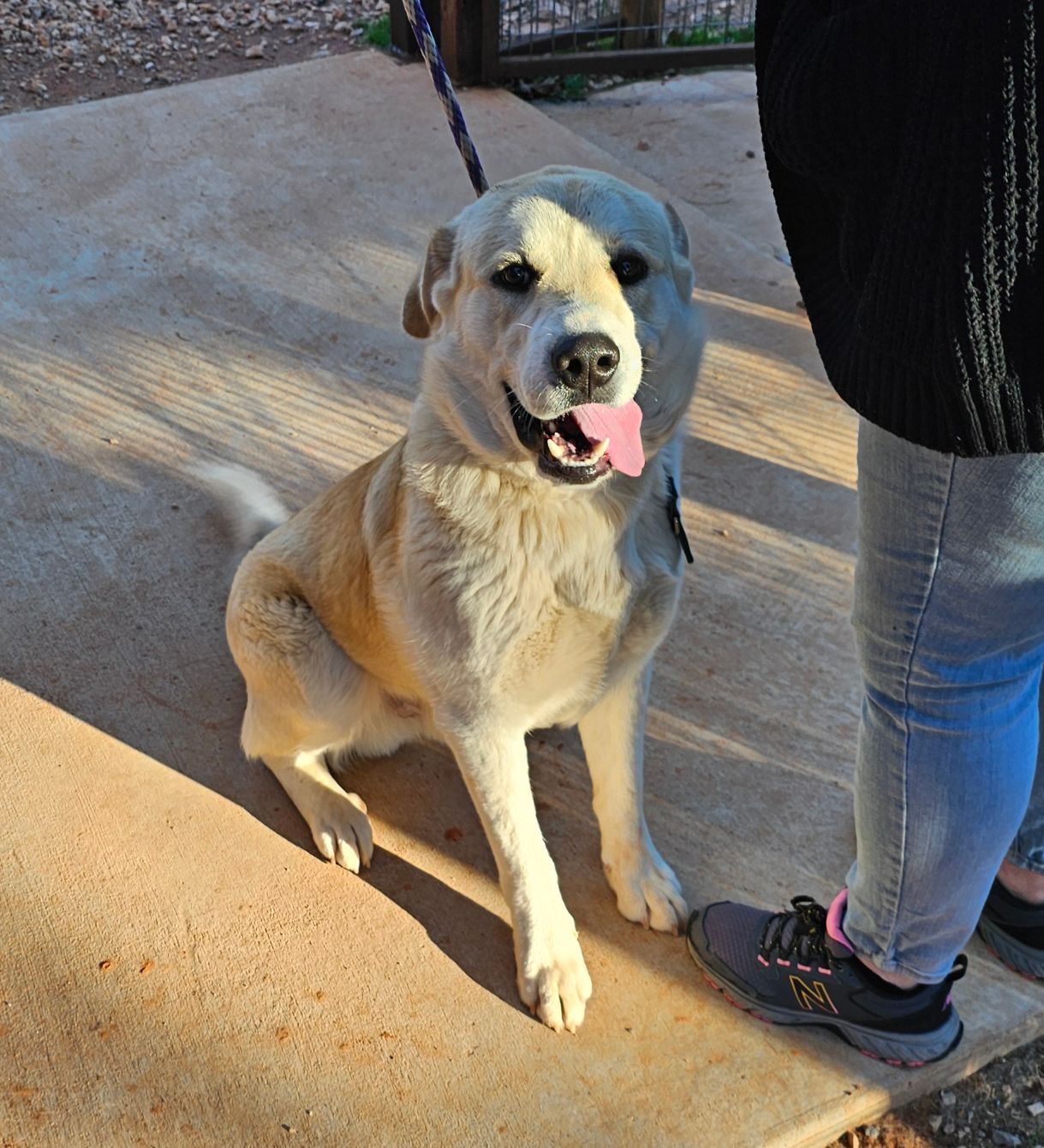 About the Be the good campaign on Bonfire 5