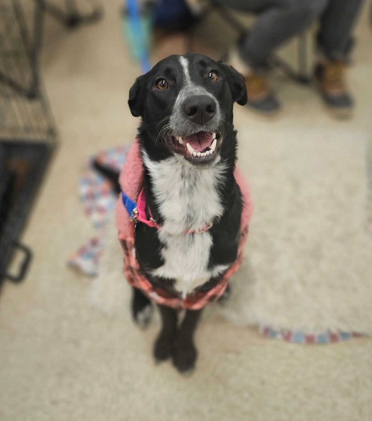 About the Be the good campaign on Bonfire 3