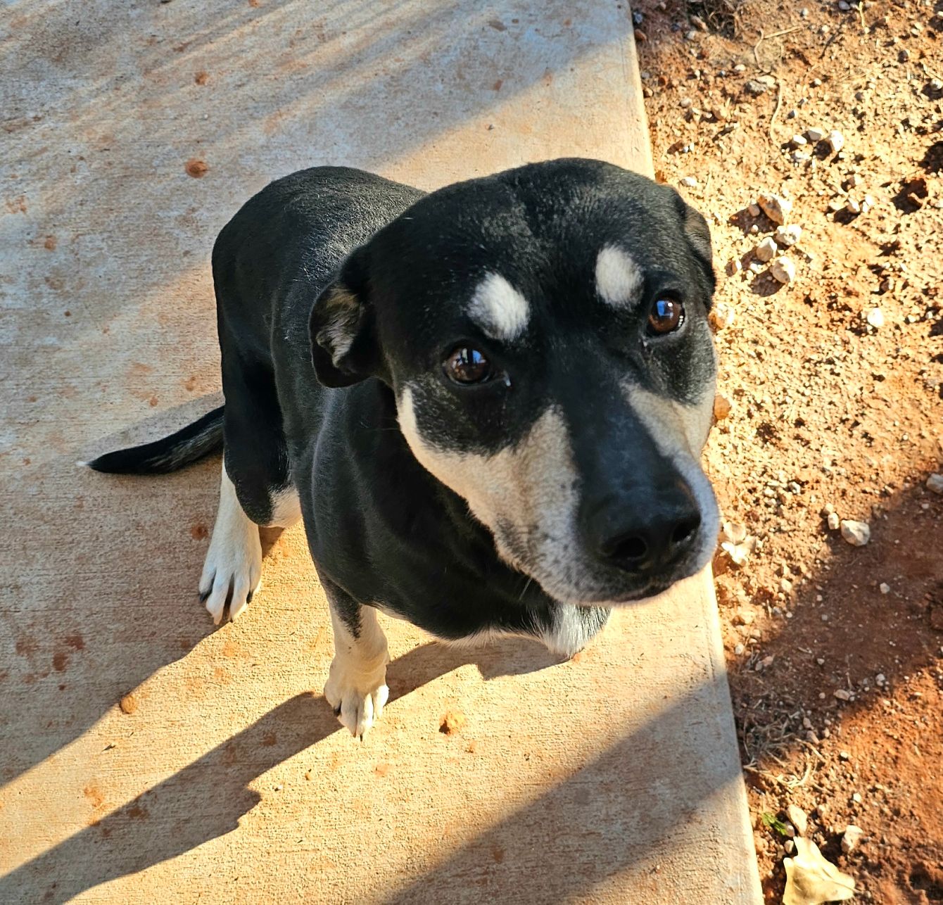 About the Be the good campaign on Bonfire 4