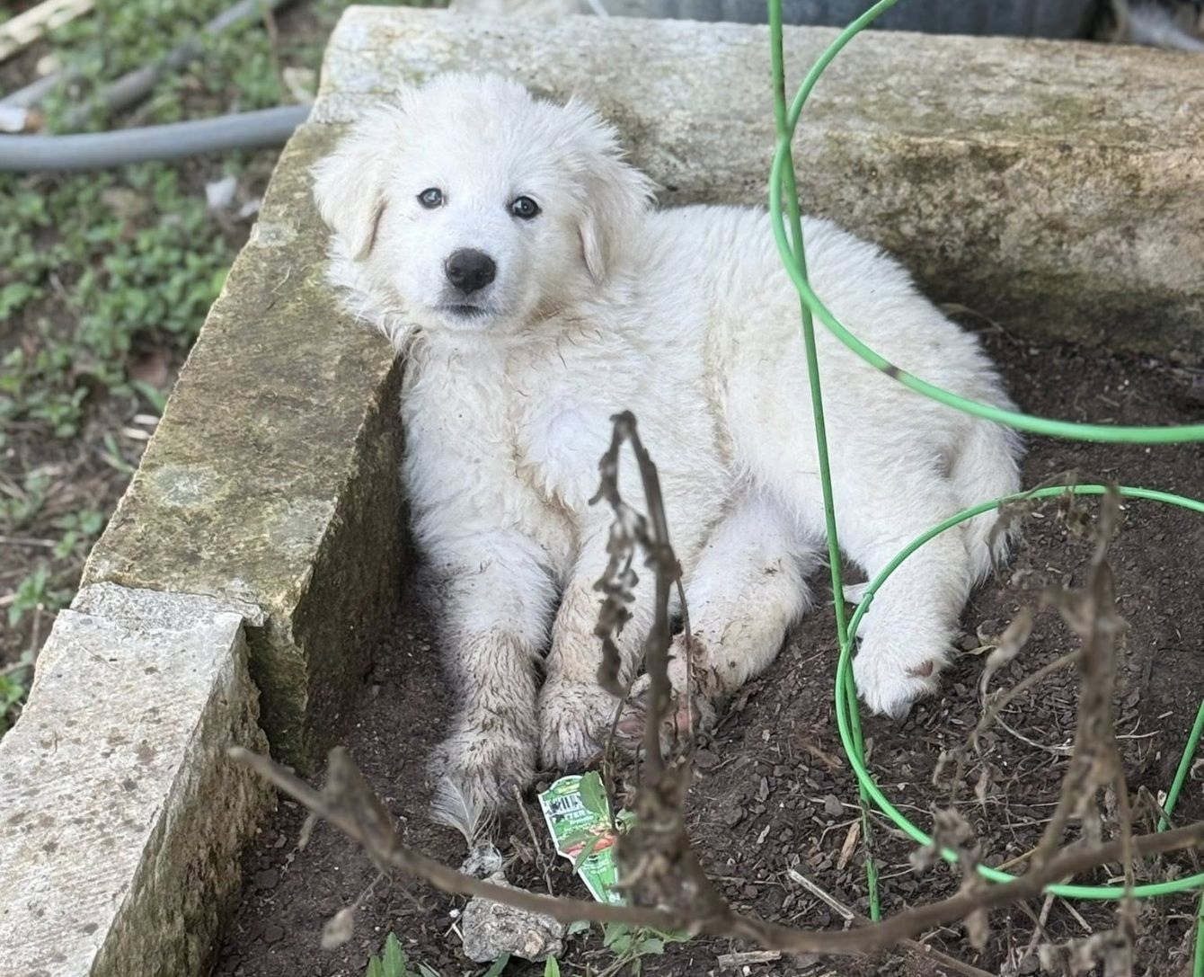 About the Did someone say bones? Happy Halloween! '25 campaign on Bonfire 3