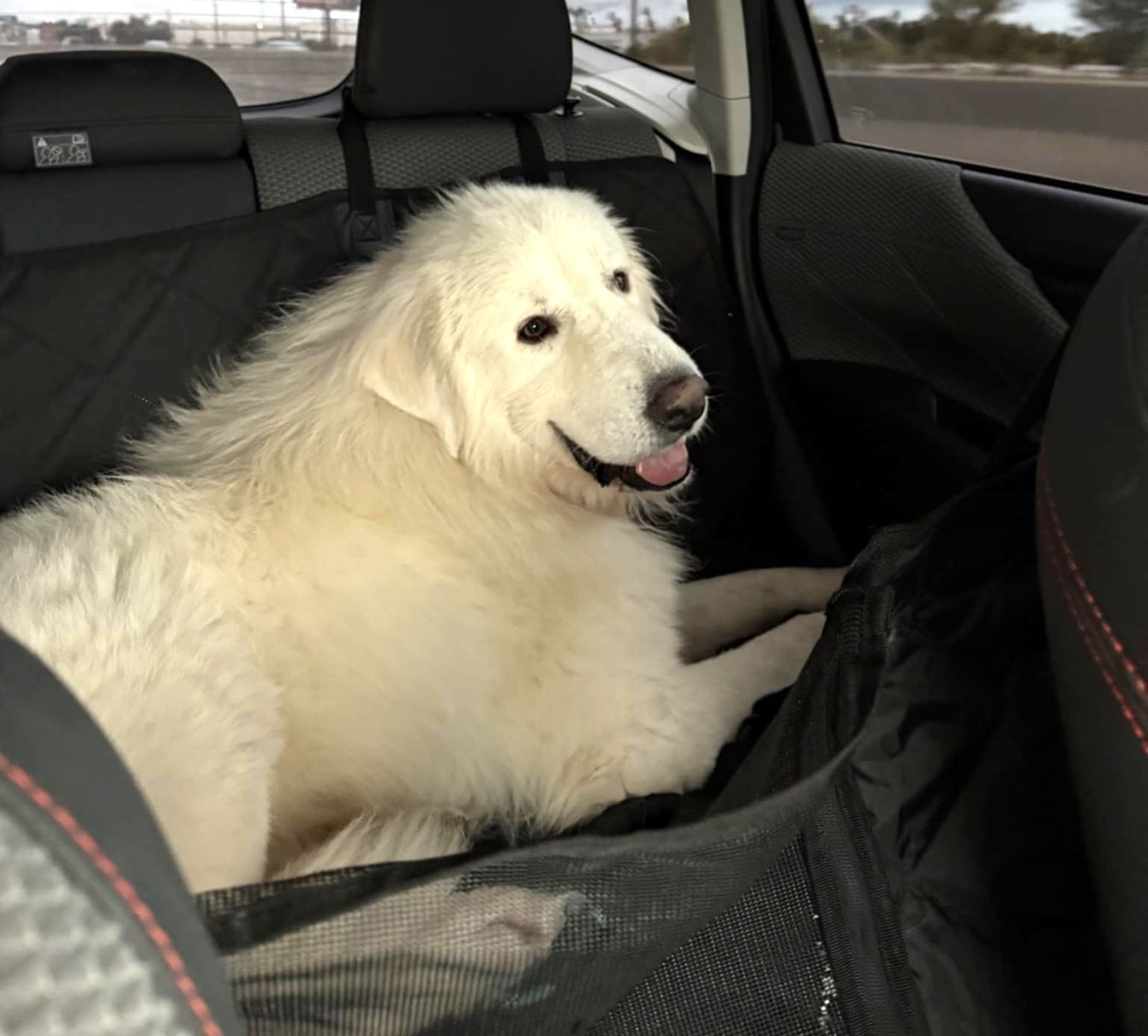 About the Did someone say bones? Happy Halloween! '25 campaign on Bonfire 5