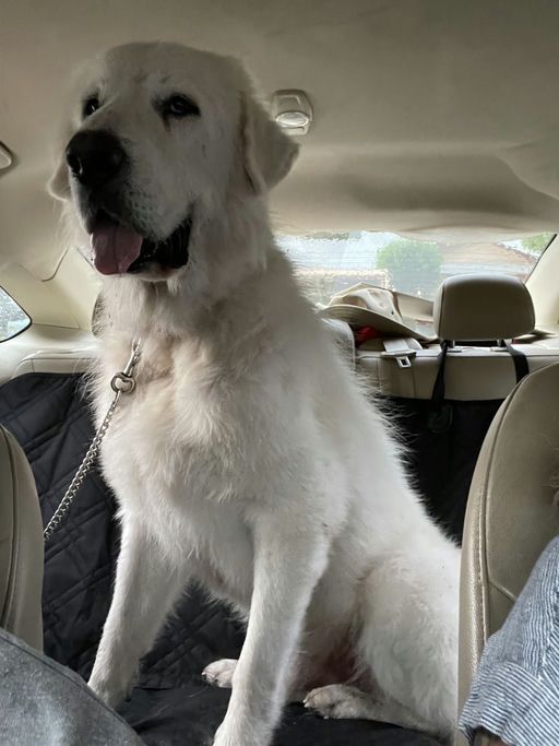 About the Did someone say bones? Happy Halloween! '25 campaign on Bonfire 4