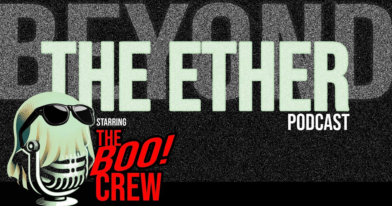 About the  campaign on Bonfire 2