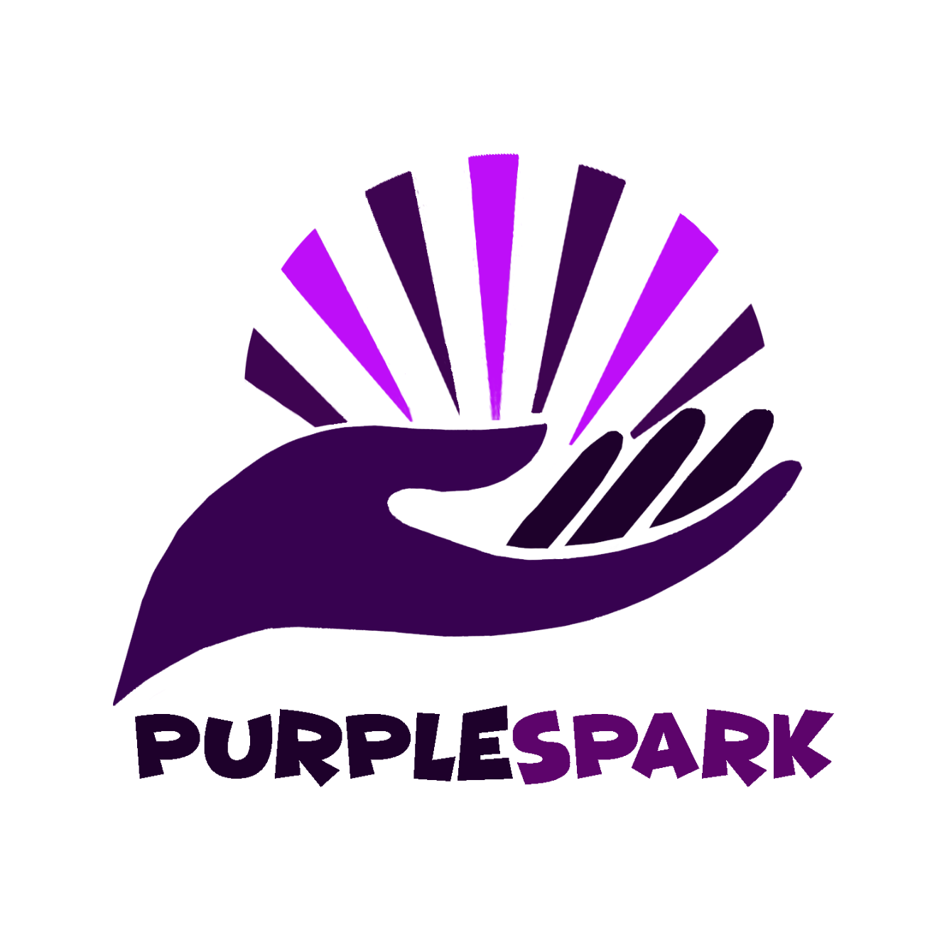 About the 2019 Purple Spark Kickoff Tee campaign on Bonfire 2