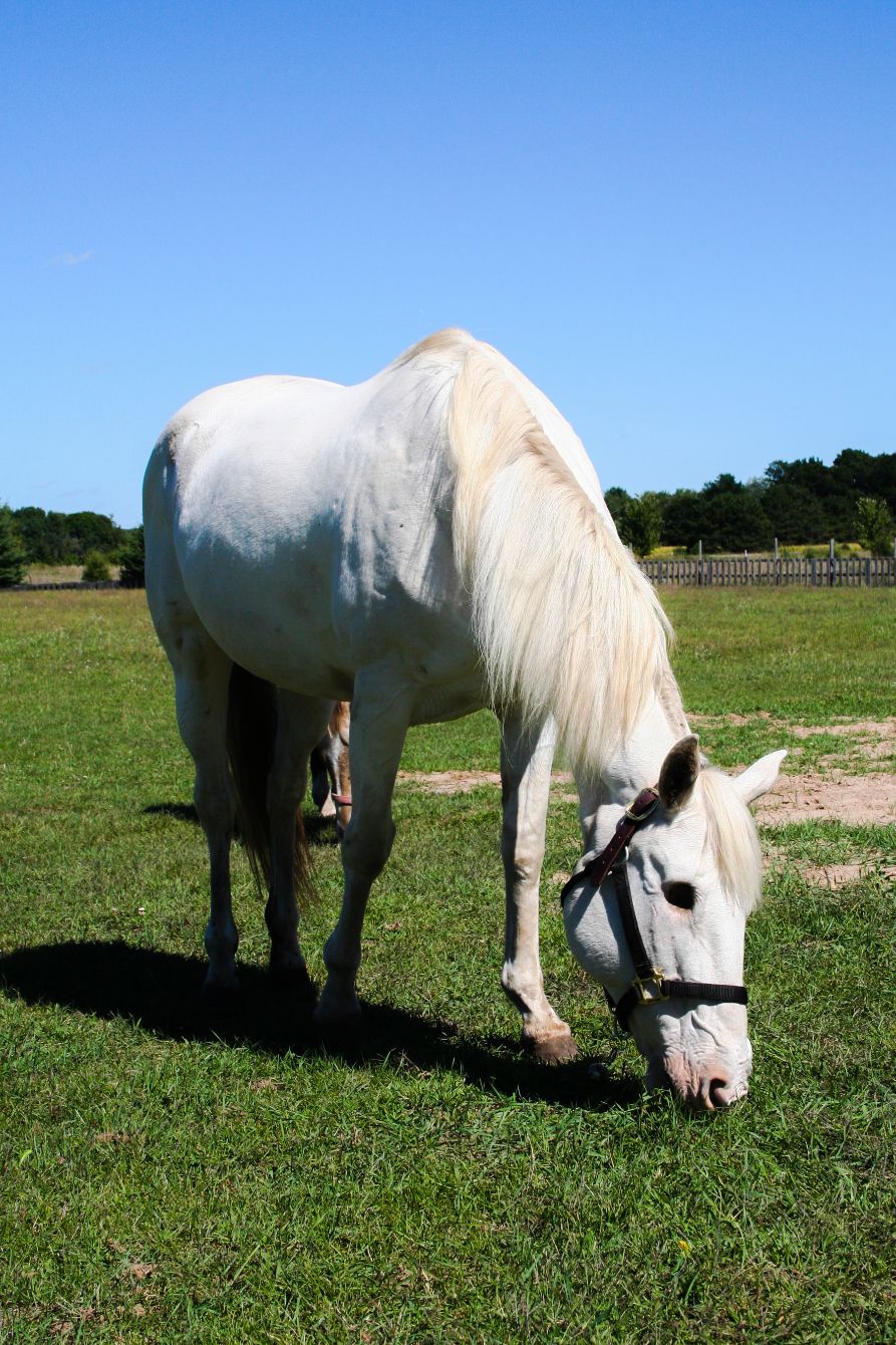 About the  campaign on Bonfire 3