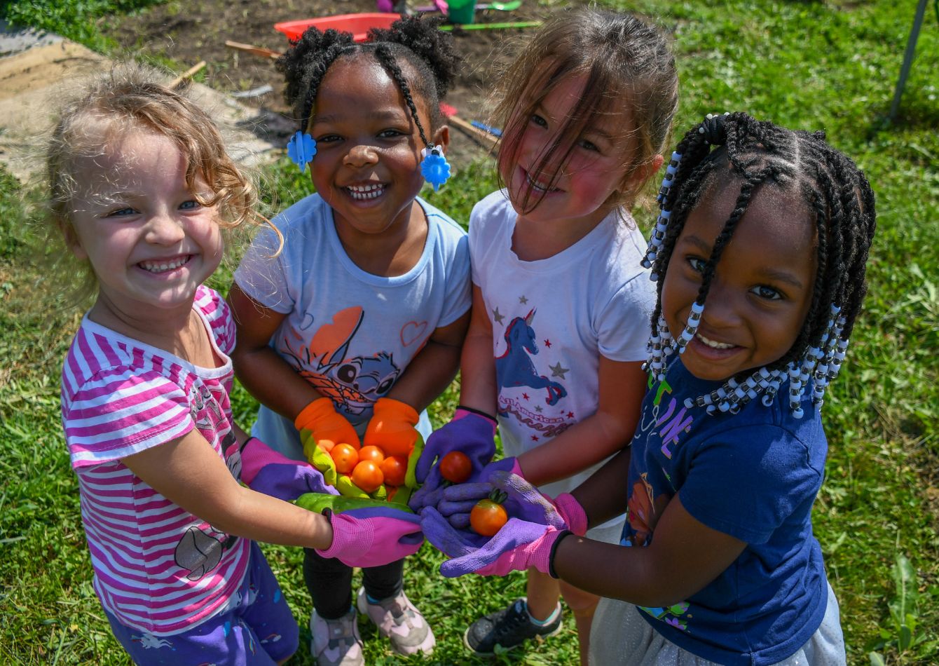 About the Rooted in the Garden campaign on Bonfire 3