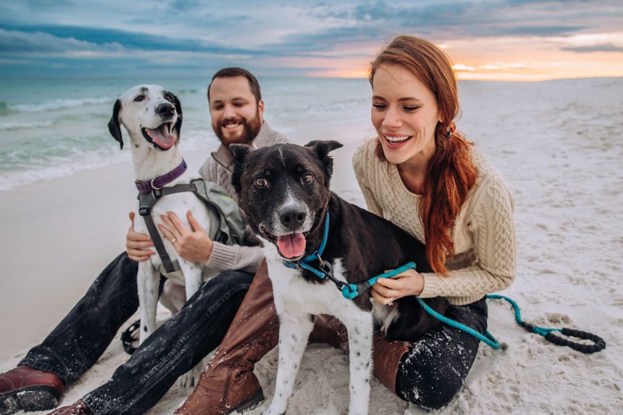 About the Proud Parent One Bad*ss Cancer Fighting Dog campaign on Bonfire 2