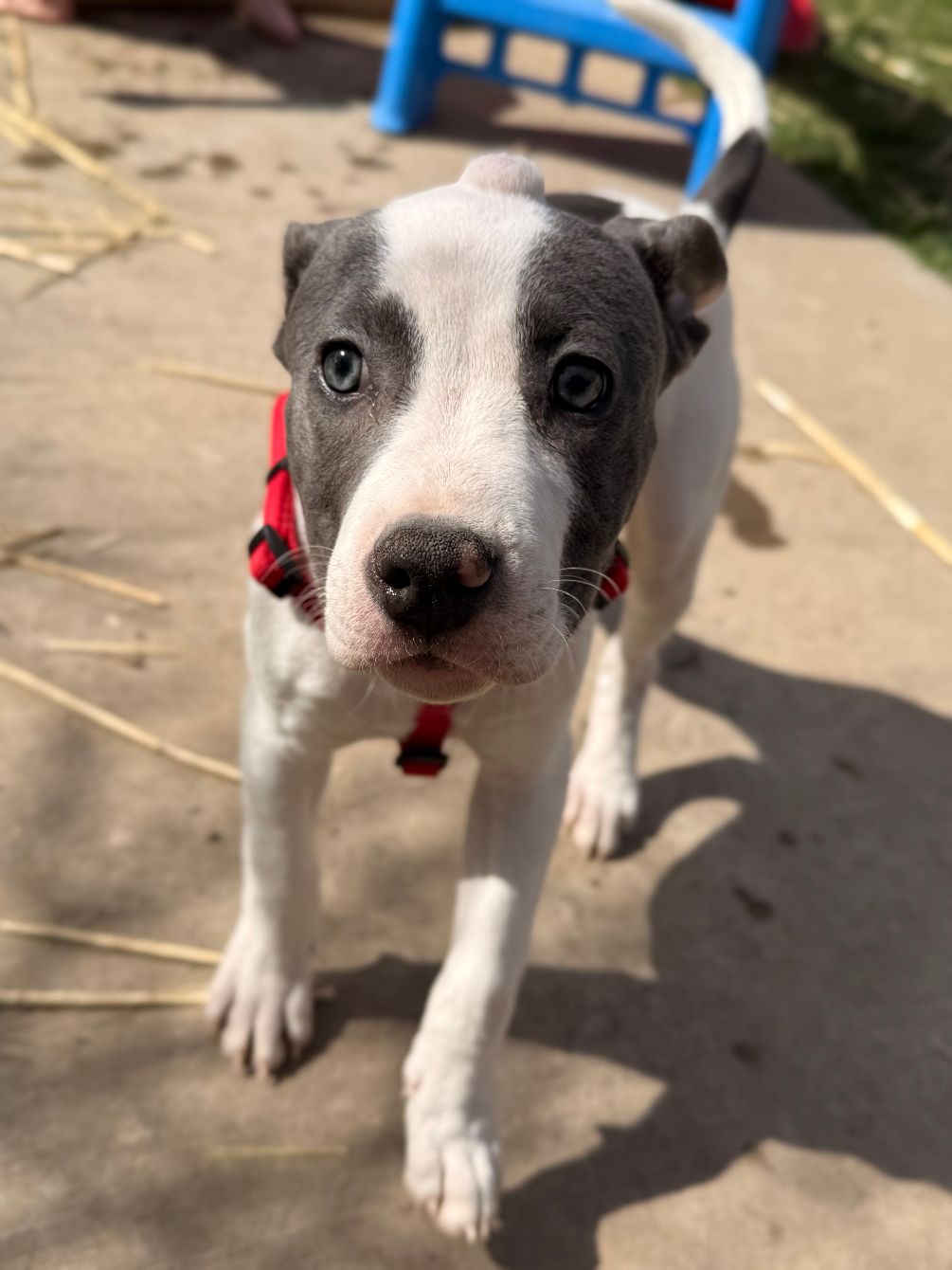 About the  campaign on Bonfire 3