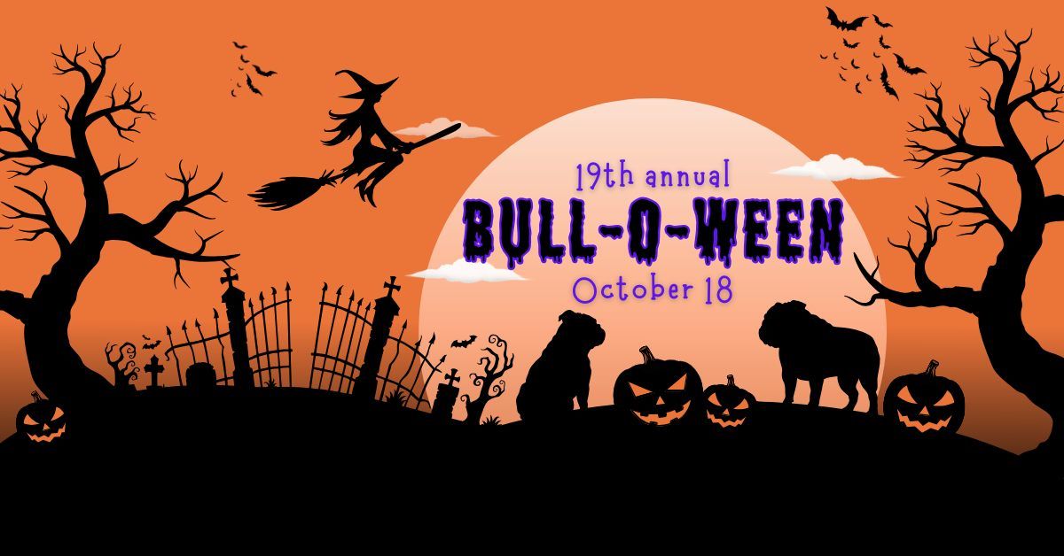 About the 2025 Bull-O-Ween  campaign on Bonfire 2