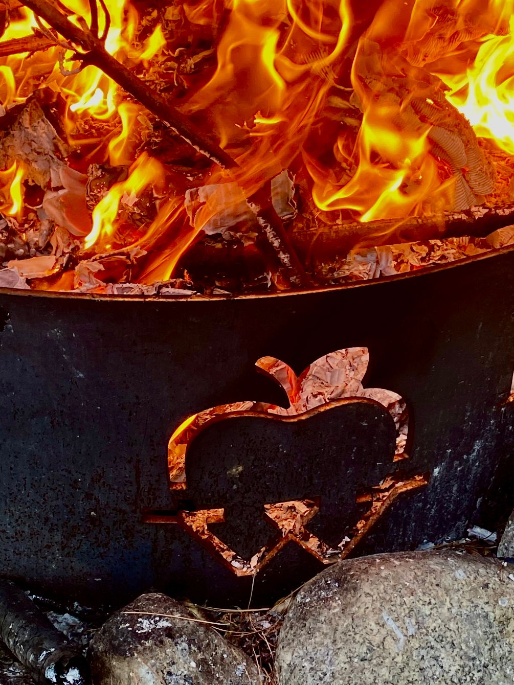 About the  campaign on Bonfire 2