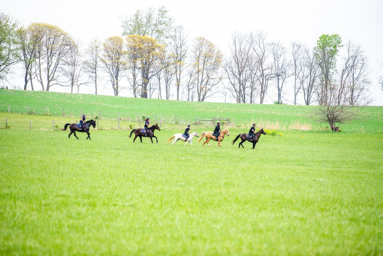 About the Fearless Field Hunt campaign on Bonfire 2