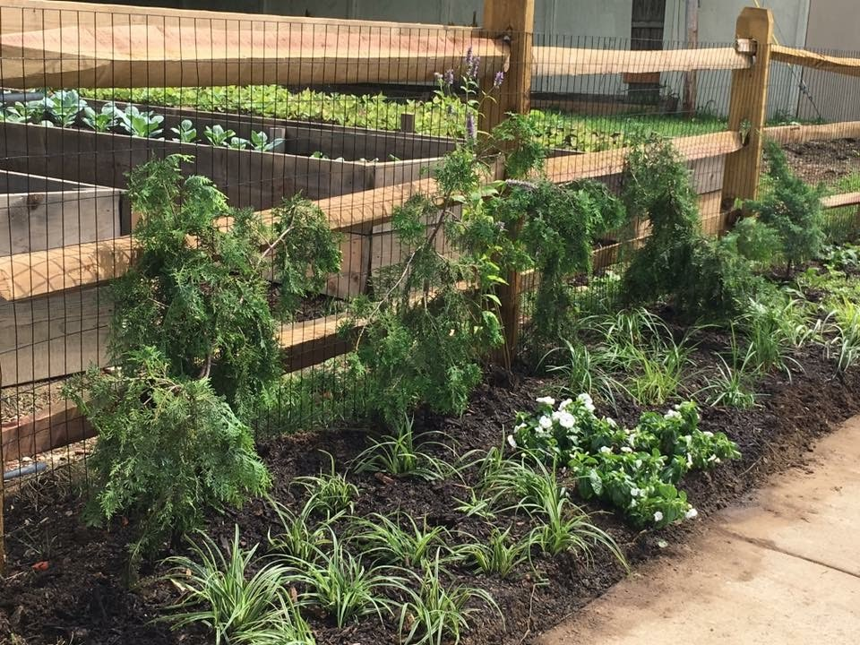 About the Sanctuary Farm Year End Fundraiser campaign on Bonfire 2