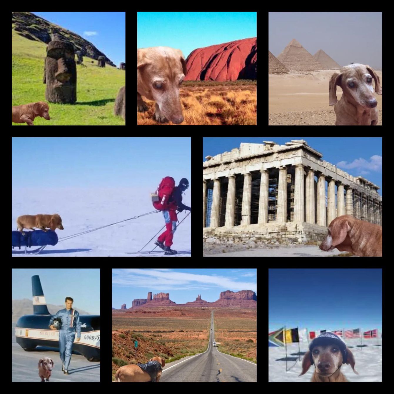 About the Team Trooper - Signature Shirt campaign on Bonfire 3