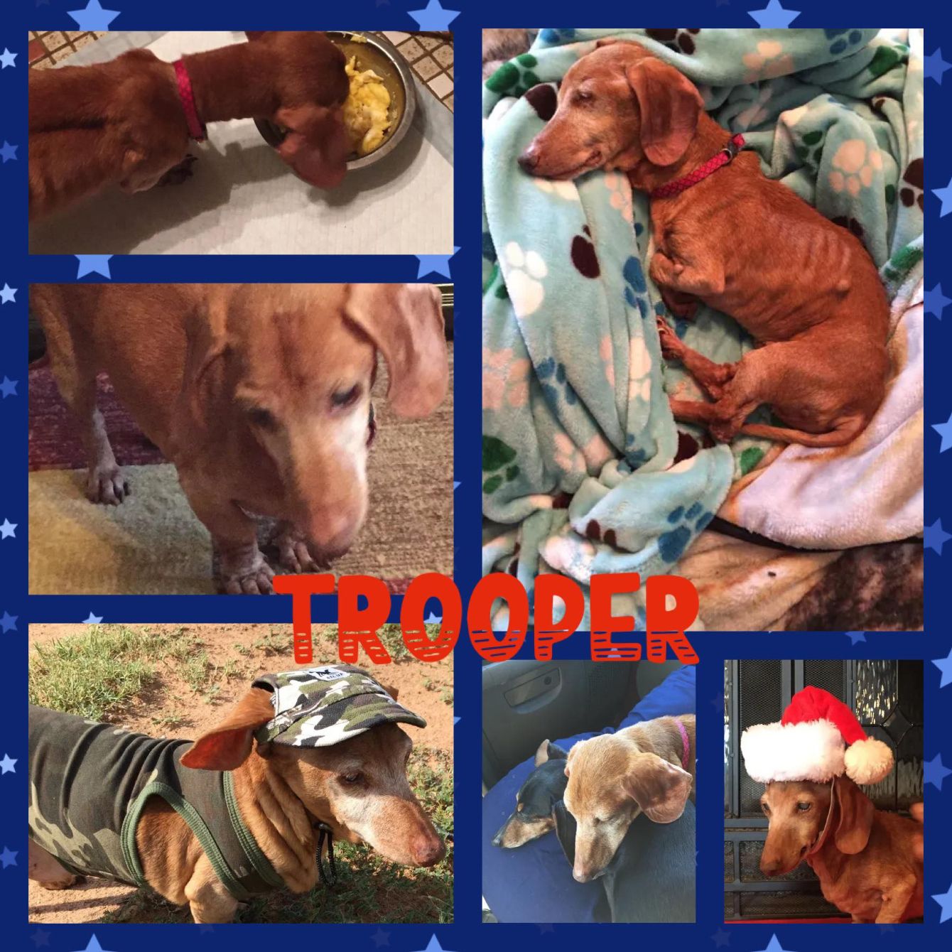 About the Team Trooper - Signature Shirt campaign on Bonfire 2