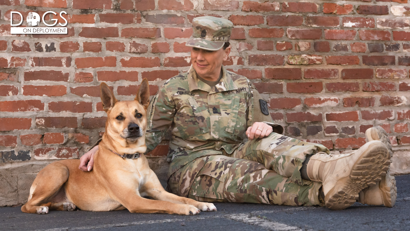 About the Kali, DoD 2020 Mascot campaign on Bonfire 1