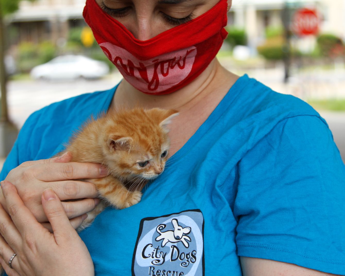 CDCK Cat Flag Apparel Bonfire