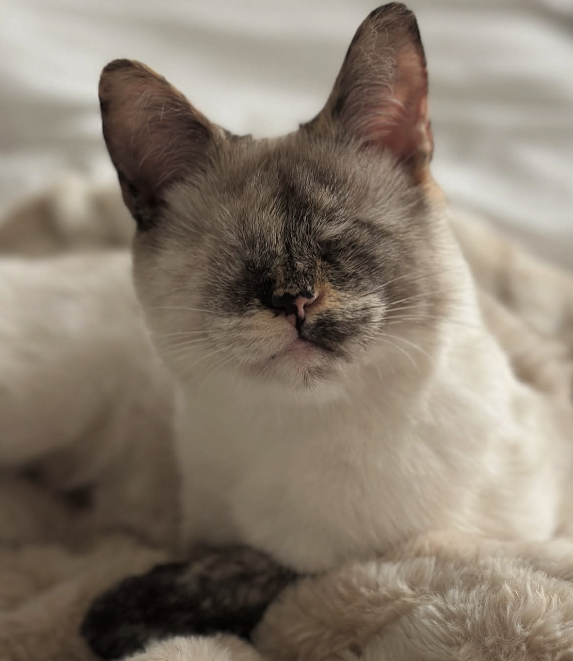 About the See with your heart campaign on Bonfire 2