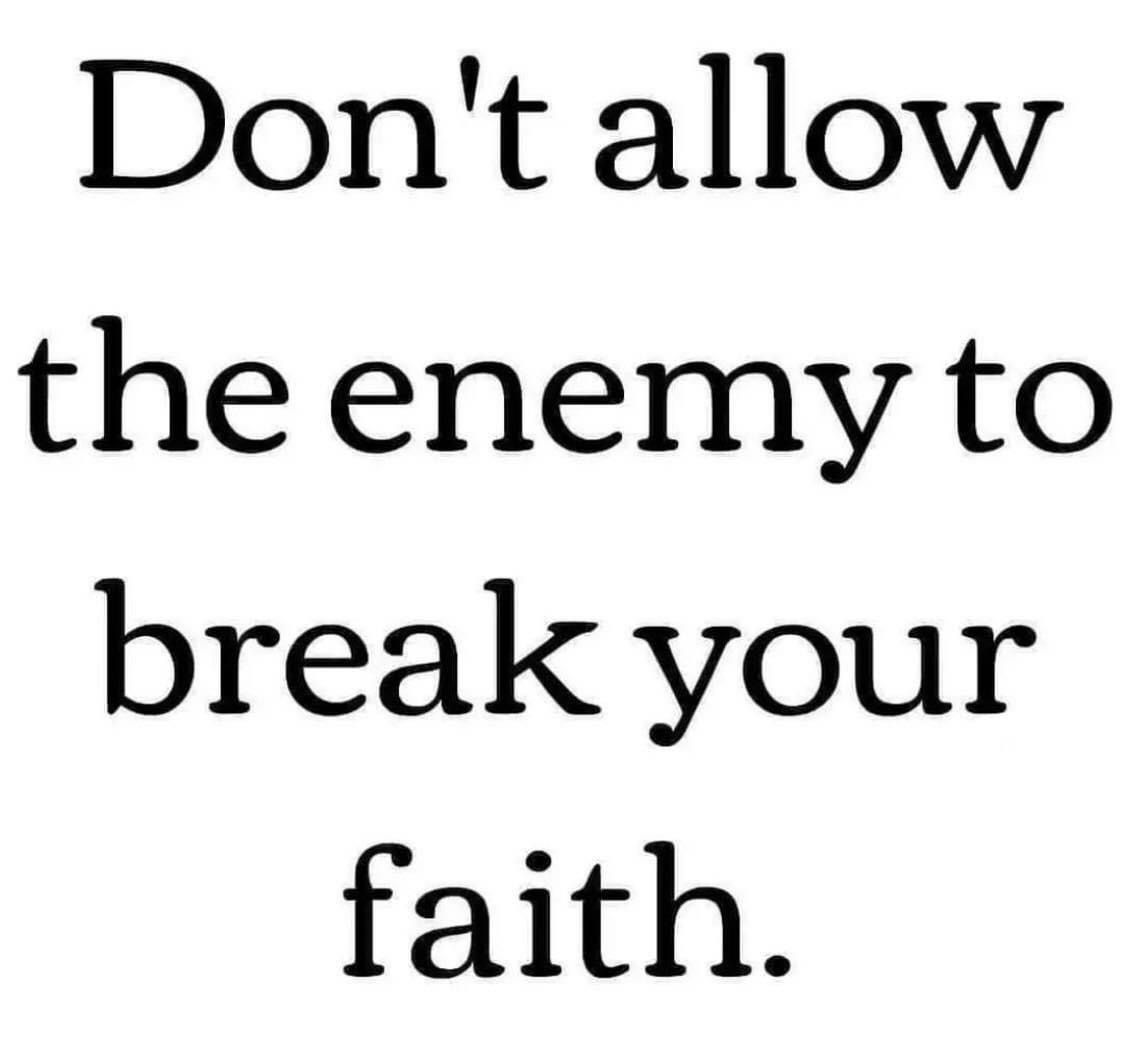 About the  campaign on Bonfire 4