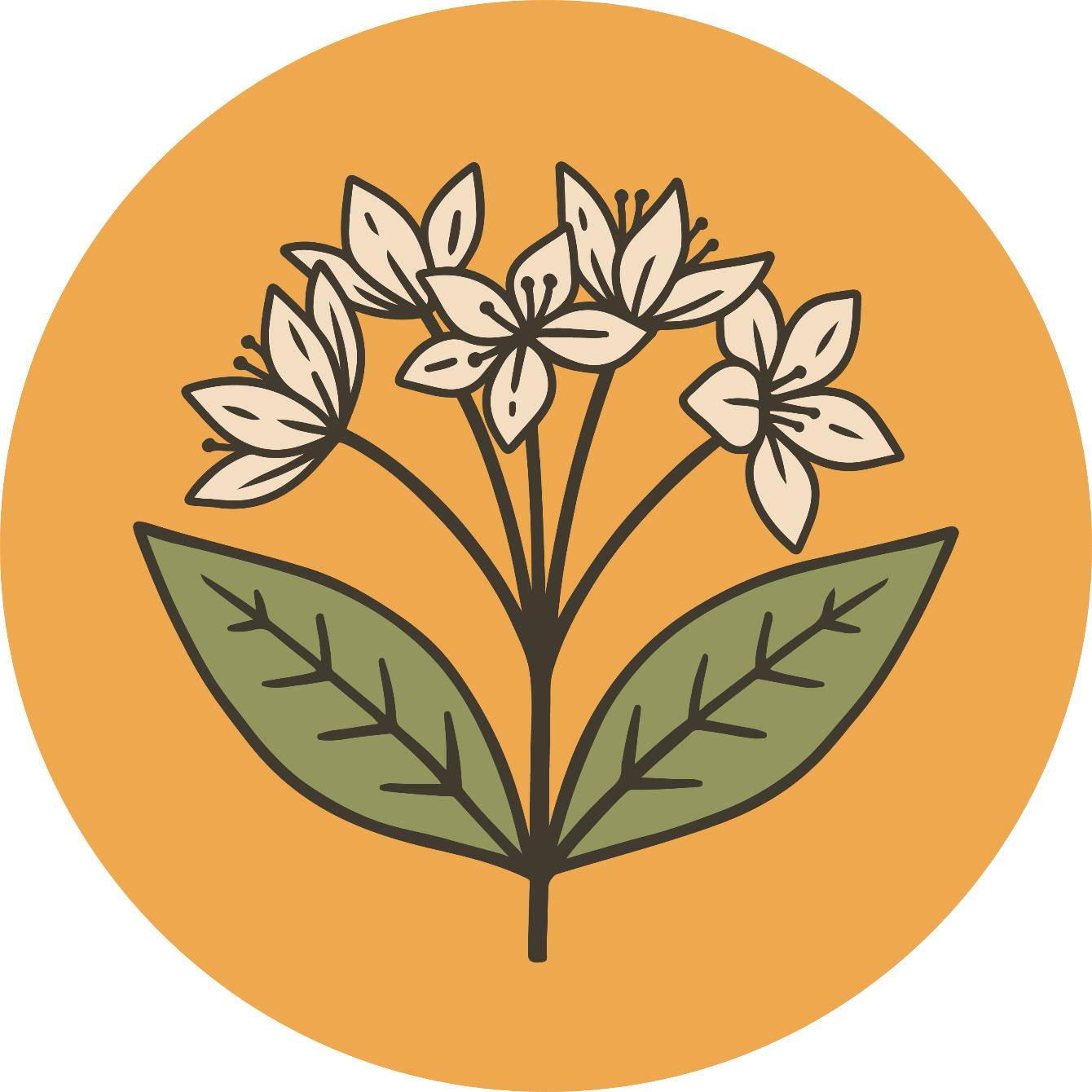 About the Rooting Our Response Appalachia (RORA) campaign on Bonfire 2