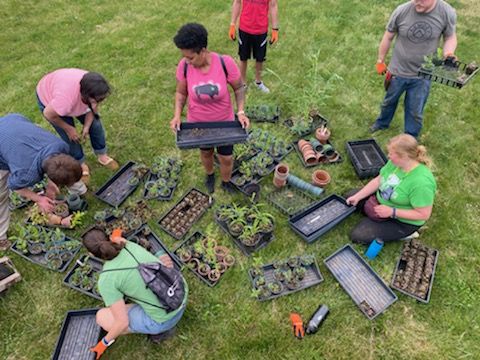 About the BWELL T-Shirt campaign on Bonfire 2