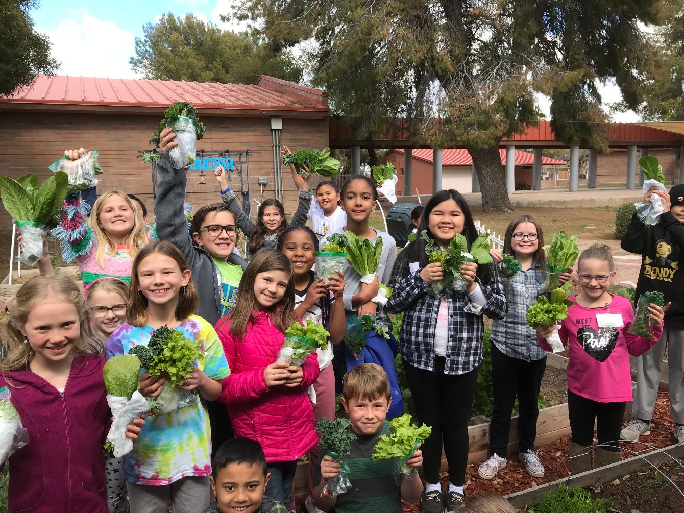 About the Garden-based Learning! campaign on Bonfire 2