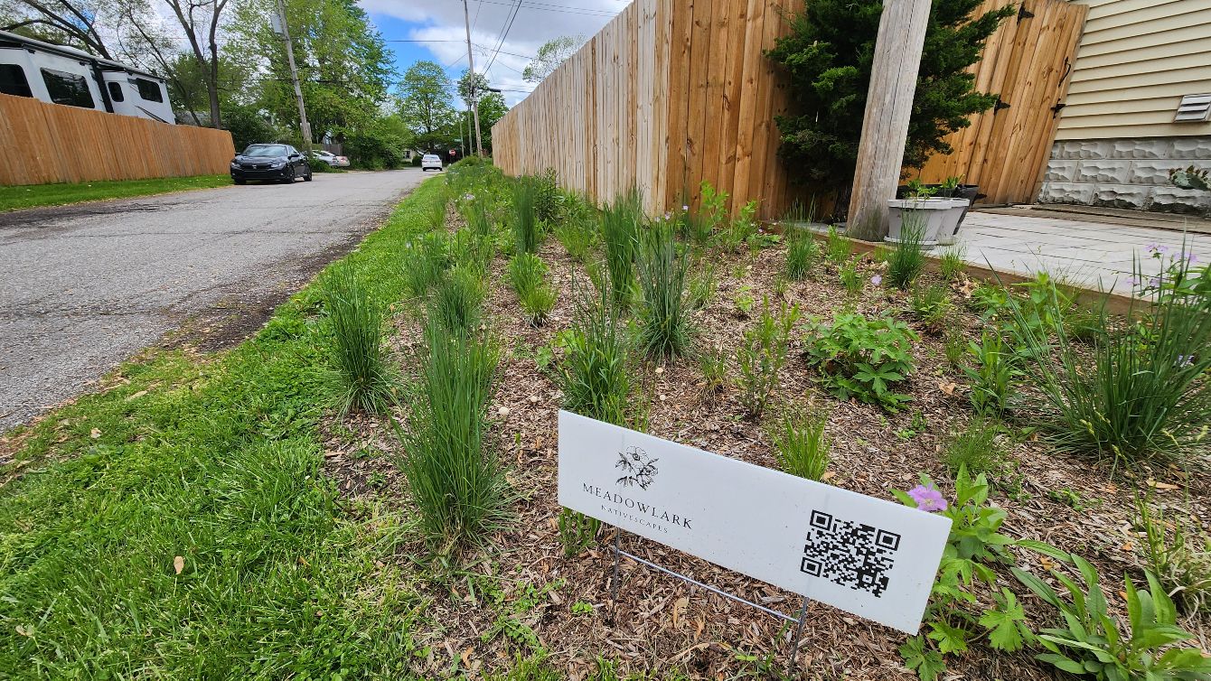 About the  campaign on Bonfire 2