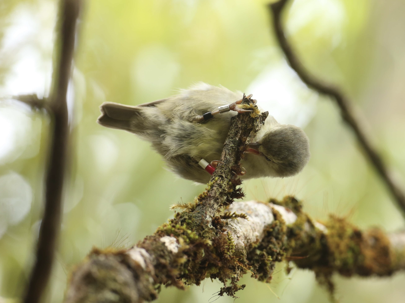 About the Join the Resistance! campaign on Bonfire 3