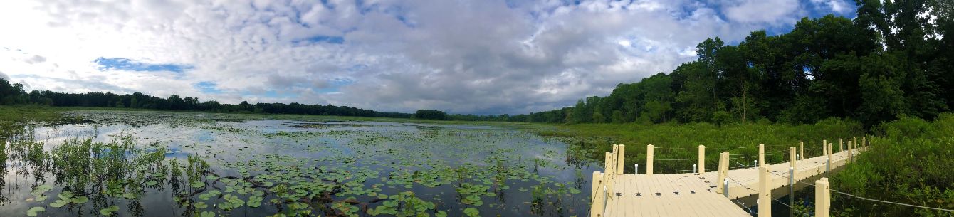 About the Boot Lake Nature Preserve - Shirts campaign on Bonfire 3