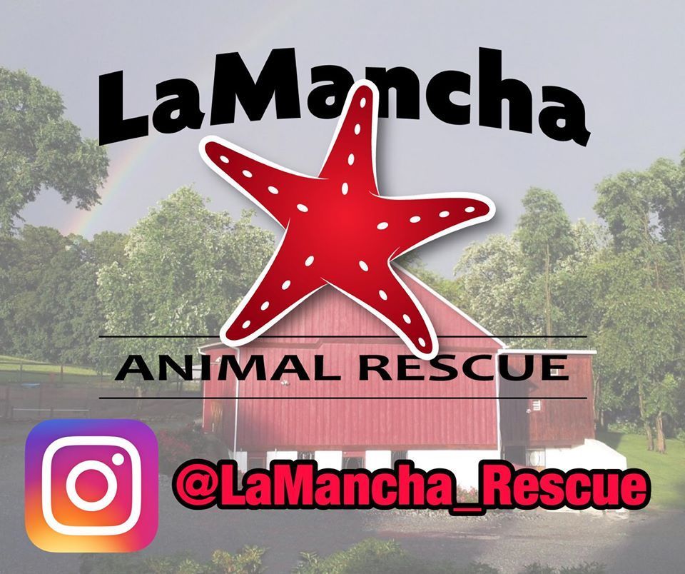 About the Rescued Is My Favorite Breed - LaMancha campaign on Bonfire 2