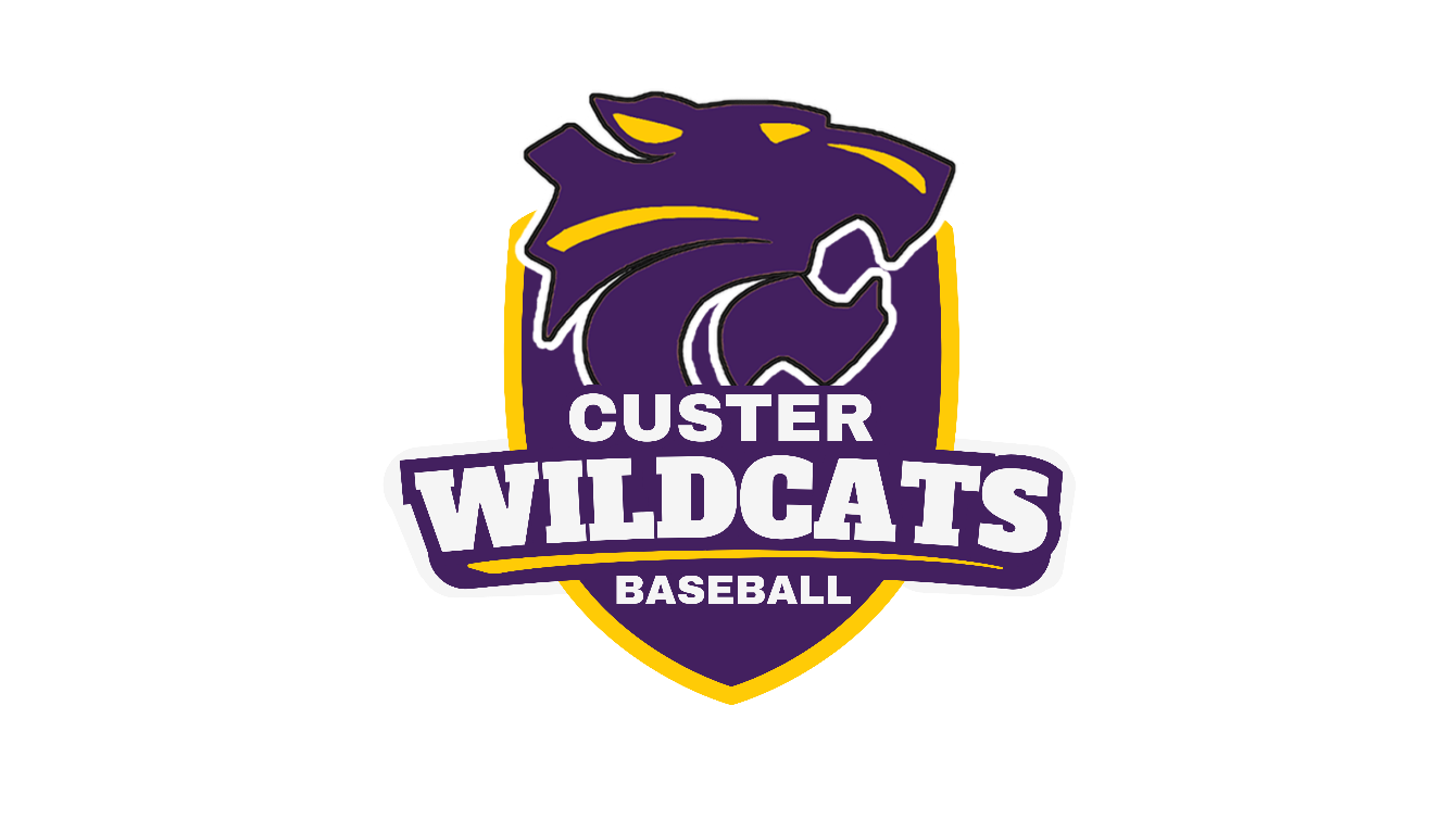About the Custer Baseball campaign on Bonfire 2