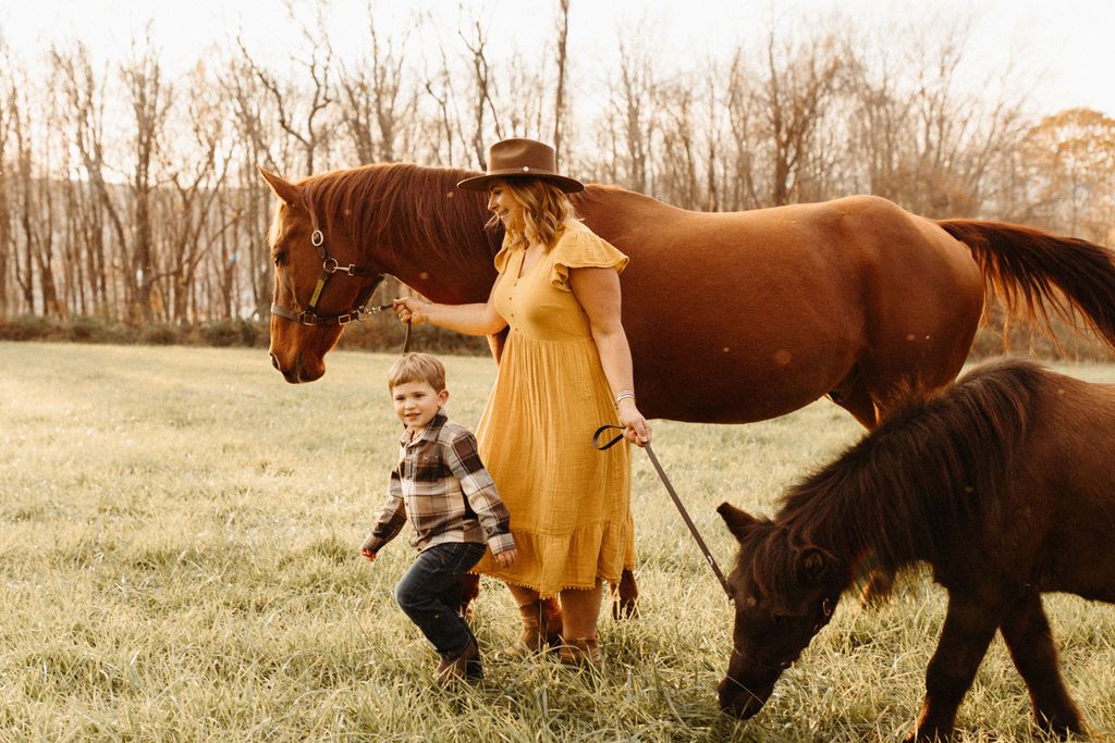 About the  campaign on Bonfire 2