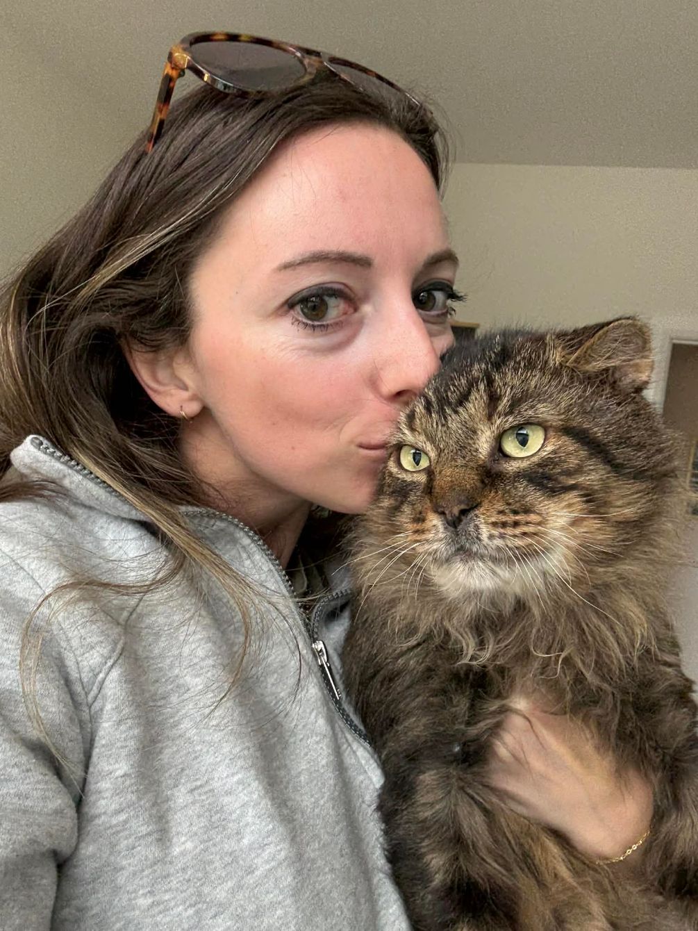 About the Medical help for community cats campaign on Bonfire 4