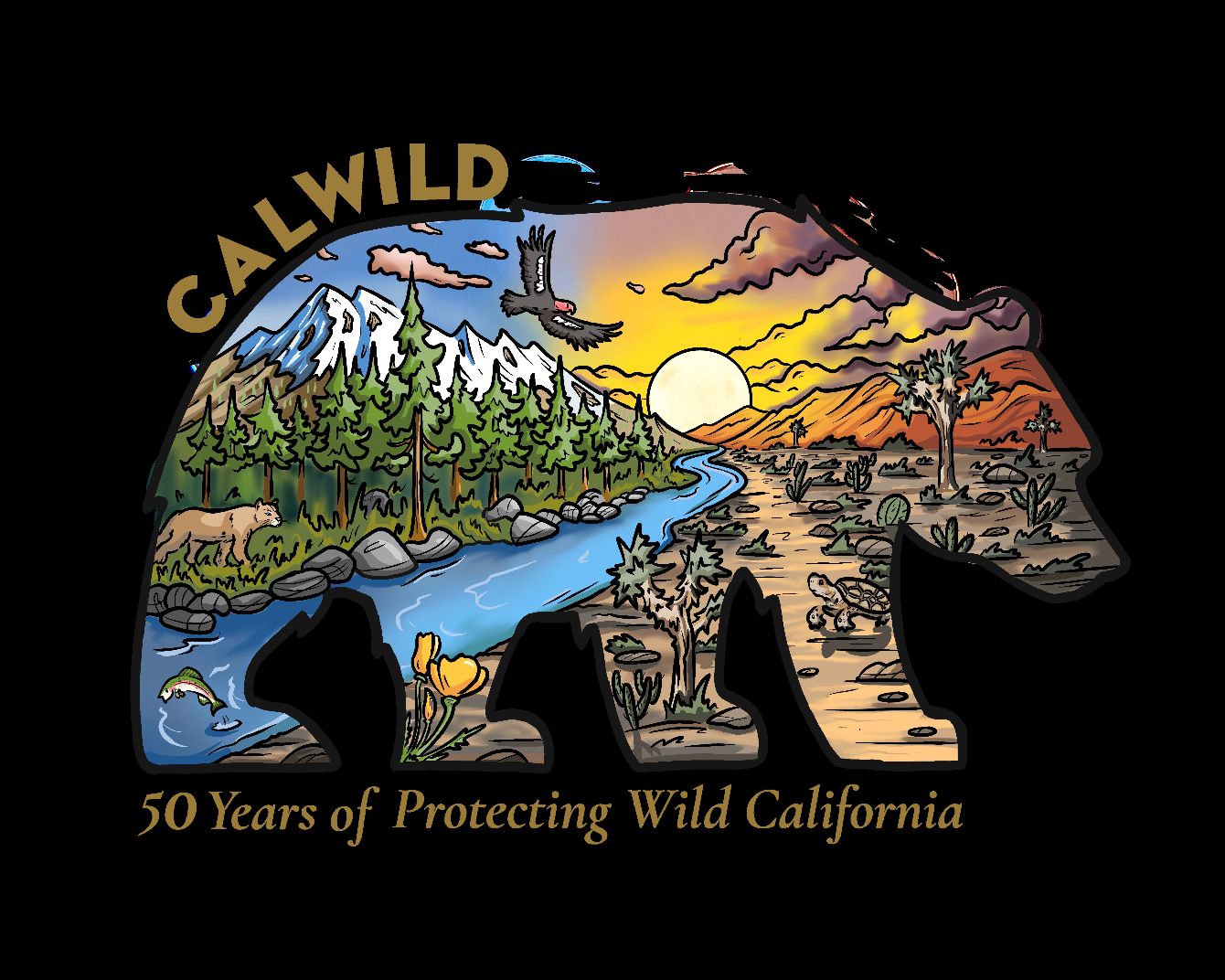 About the CalWild Kids 50th Bear Gear campaign on Bonfire 3