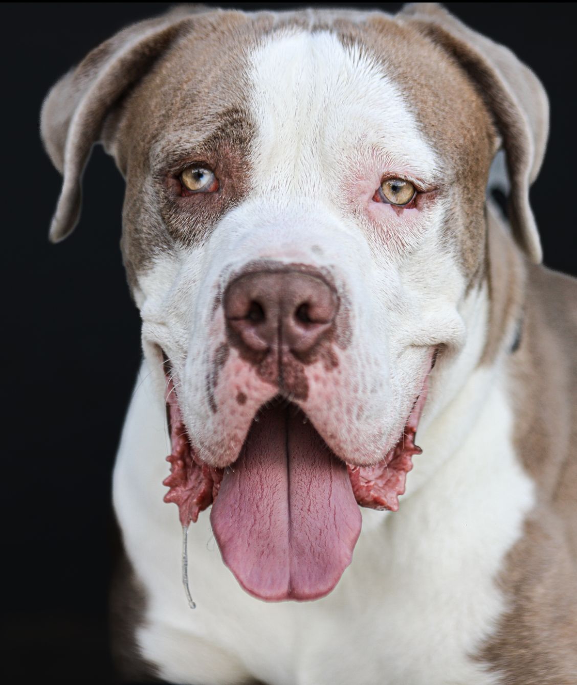 About the PKR Band Tee Collection campaign on Bonfire 2