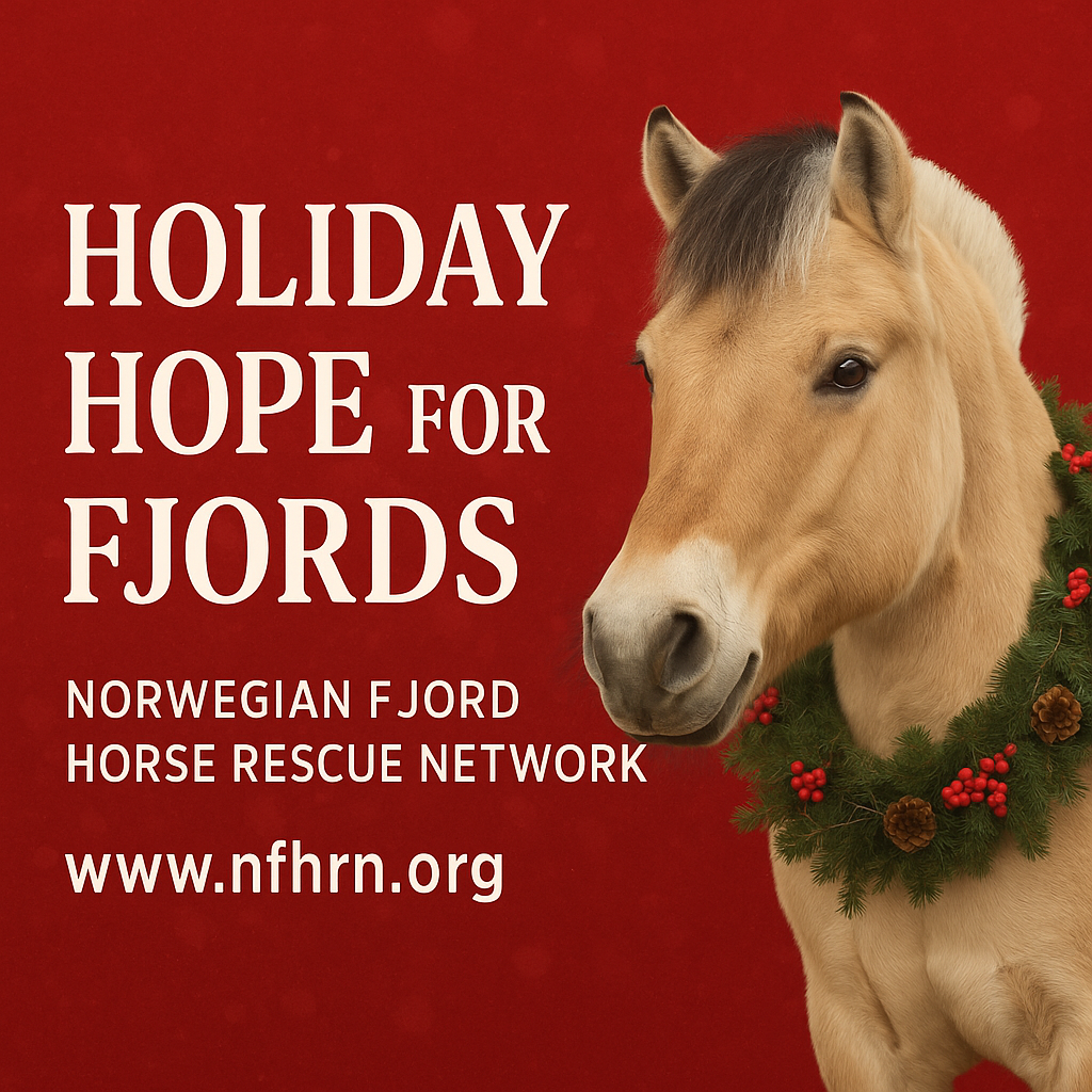 About the Holiday Hope For Fjords campaign on Bonfire 2