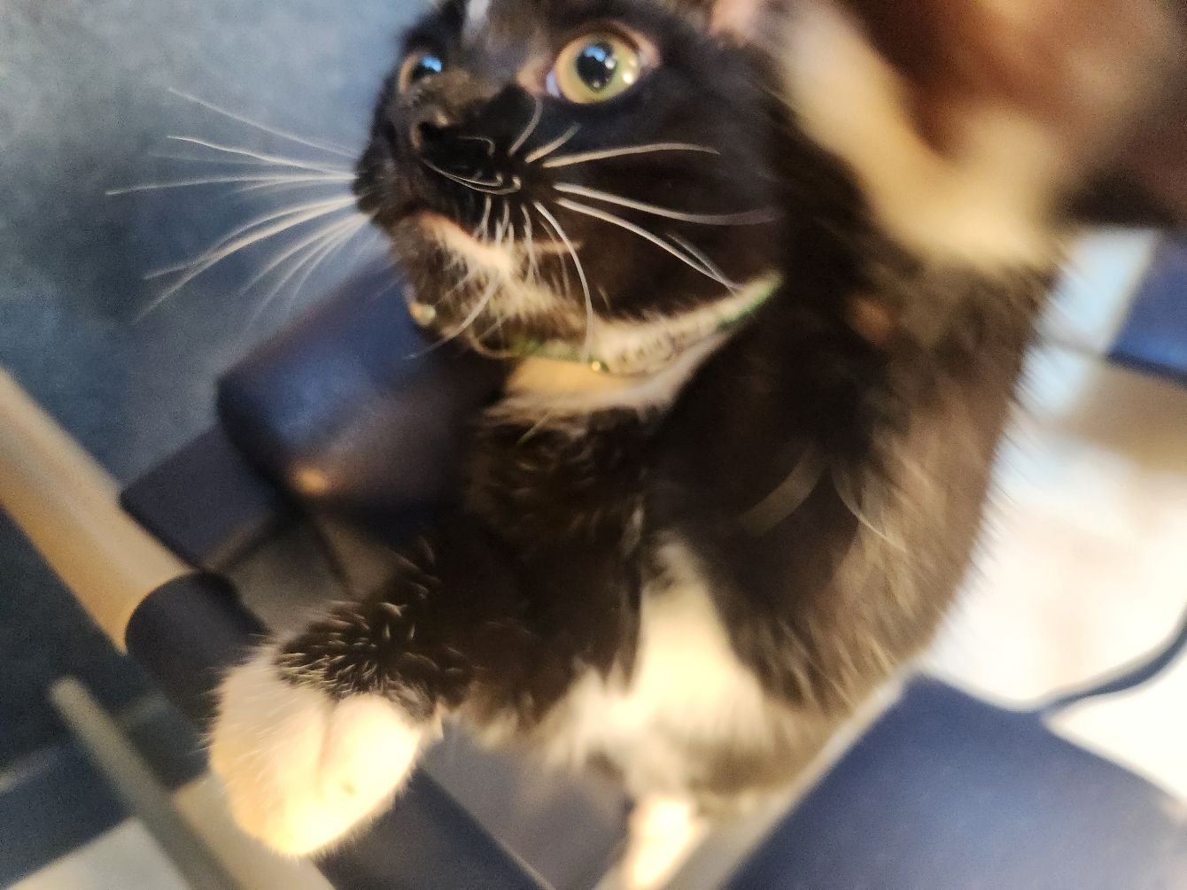 About the Dexter, Employee of the Year campaign on Bonfire 2