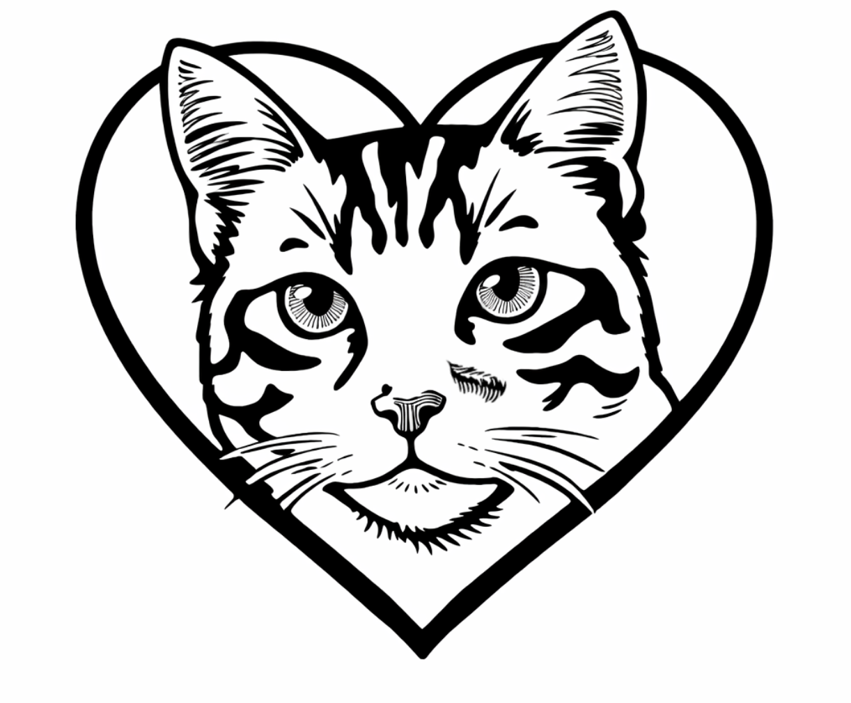 About the Chloe's Code - Her Legacy Continues campaign on Bonfire 2