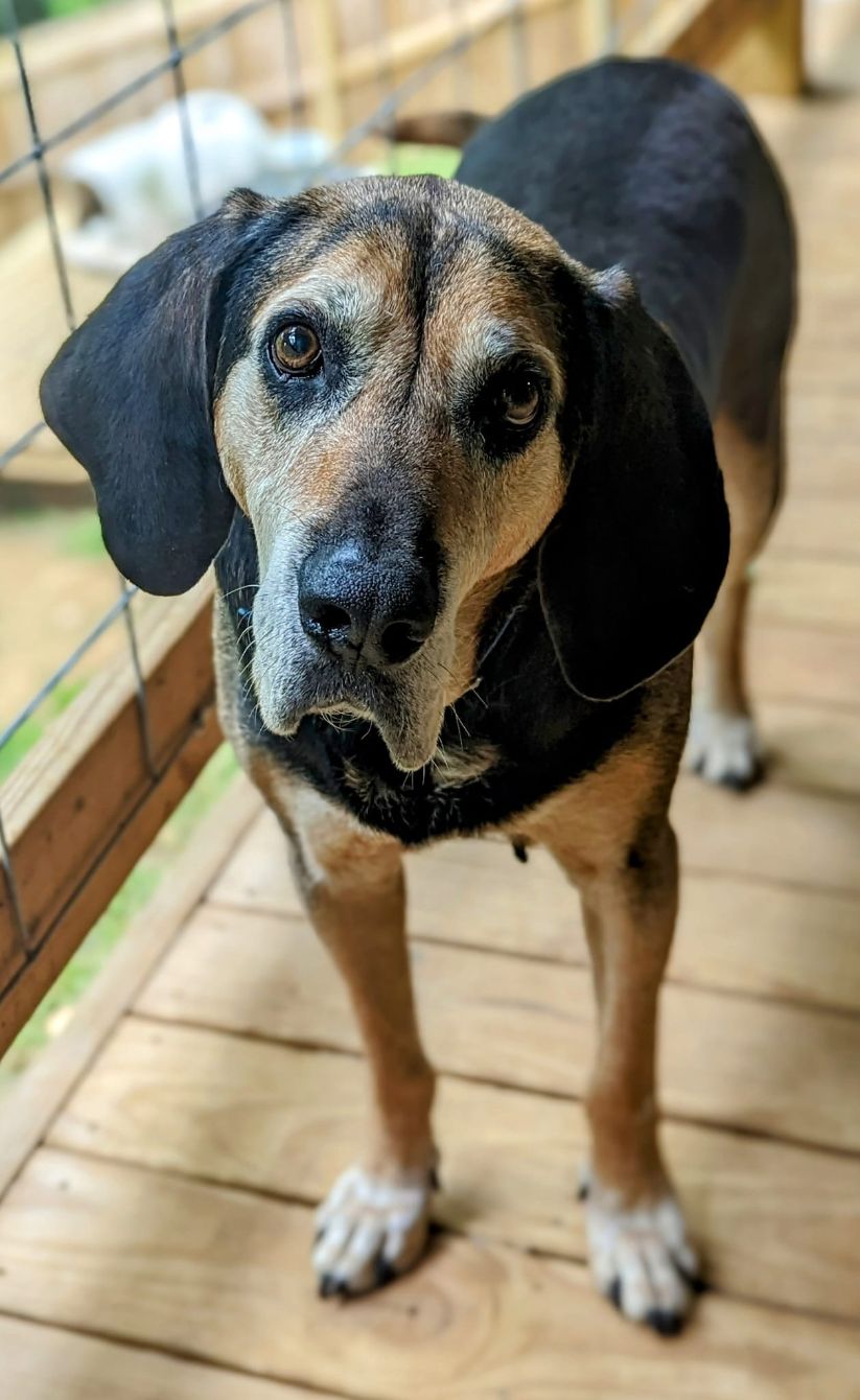 About the  campaign on Bonfire 3