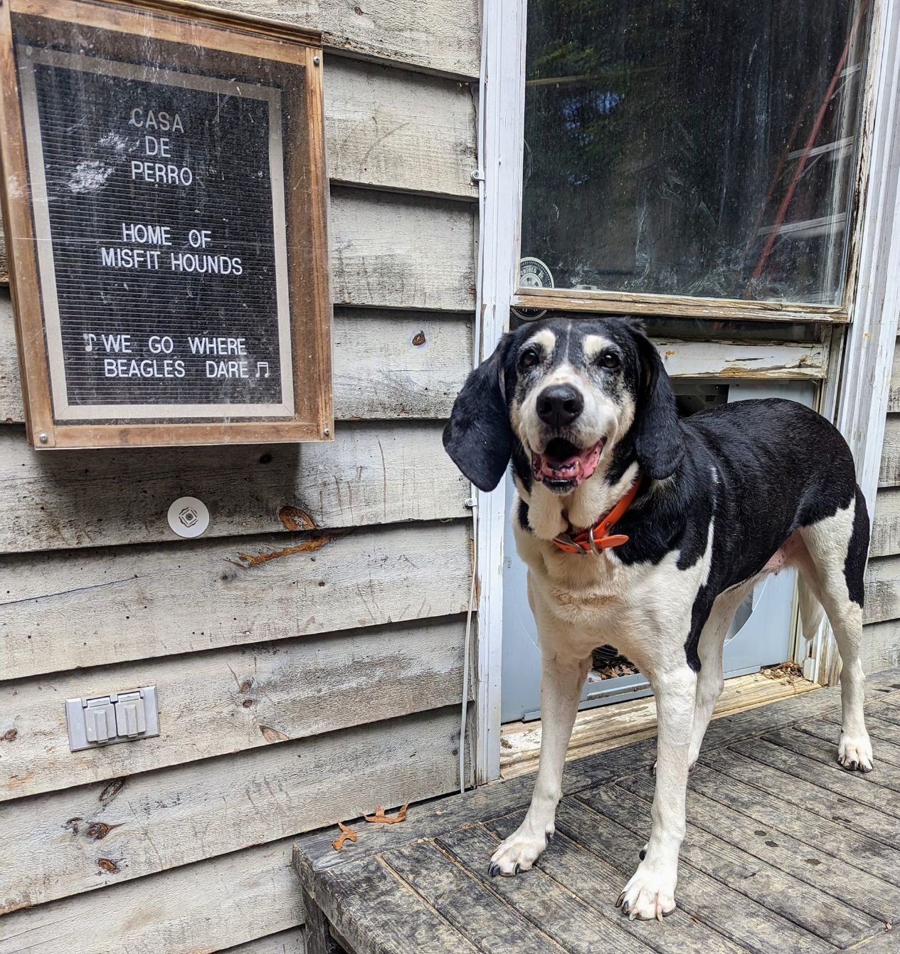 About the  campaign on Bonfire 2