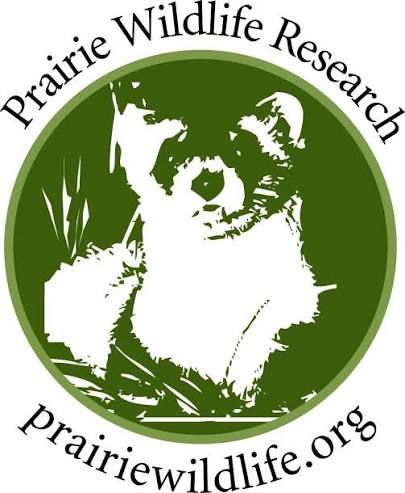 About the BFF Stained Glass Style Mug campaign on Bonfire 2